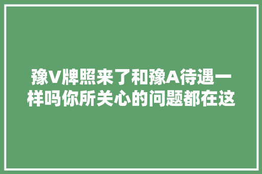 豫V牌照来了和豫A待遇一样吗你所关心的问题都在这里