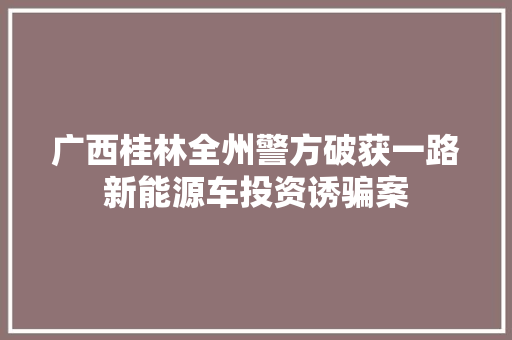 广西桂林全州警方破获一路新能源车投资诱骗案