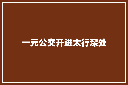 一元公交开进太行深处