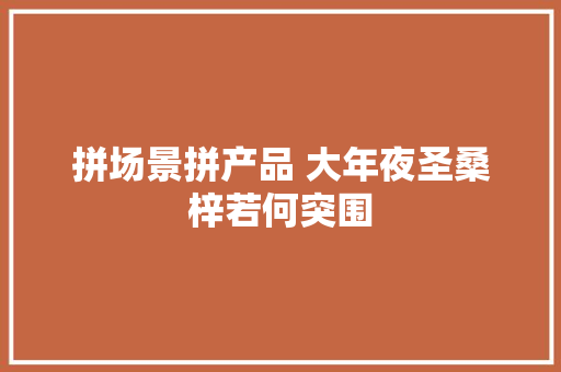 拼场景拼产品 大年夜圣桑梓若何突围
