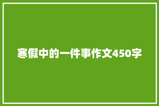 寒假中的一件事作文450字
