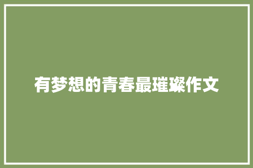有梦想的青春最璀璨作文