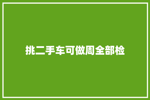 挑二手车可做周全部检