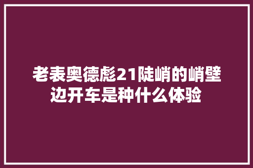 老表奥德彪21陡峭的峭壁边开车是种什么体验
