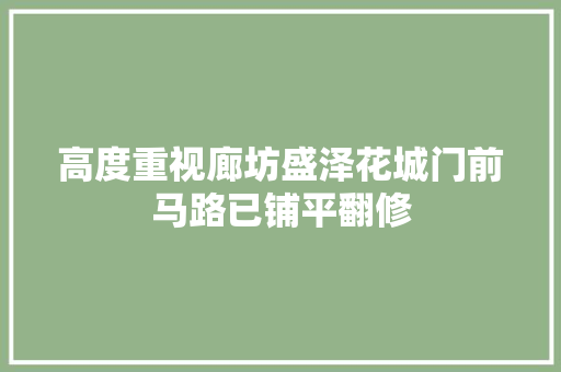 高度重视廊坊盛泽花城门前马路已铺平翻修