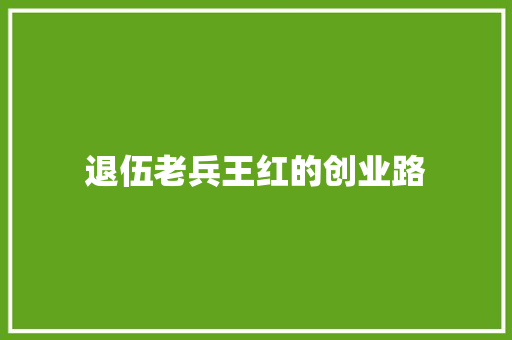 退伍老兵王红的创业路