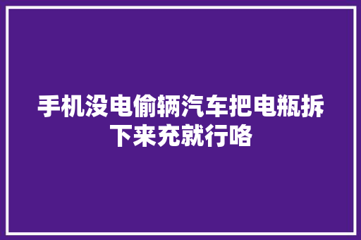 手机没电偷辆汽车把电瓶拆下来充就行咯