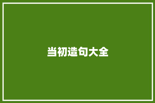 当初造句大全