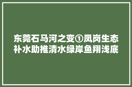 东莞石马河之变①凤岗生态补水助推清水绿岸鱼翔浅底