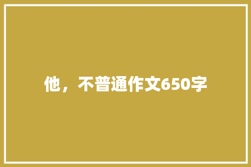 他，不普通作文650字