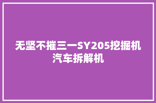 无坚不摧三一SY205挖掘机汽车拆解机