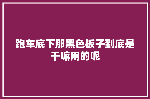 跑车底下那黑色板子到底是干嘛用的呢