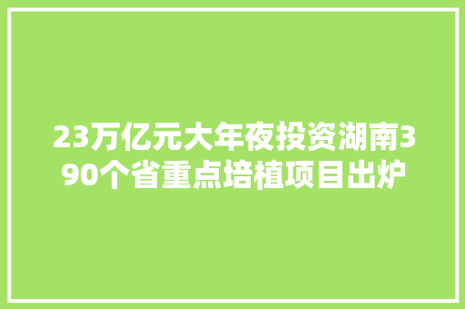 23万亿元大年夜投资湖南390个省重点培植项目出炉