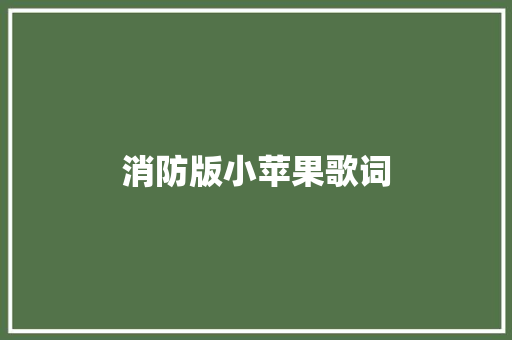 消防版小苹果歌词
