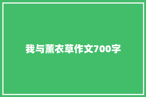 我与薰衣草作文700字