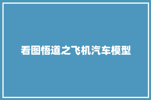 看图悟道之飞机汽车模型