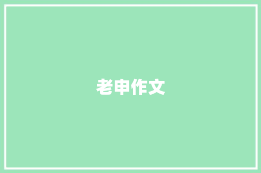 老申作文