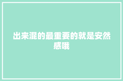 出来混的最重要的就是安然感哦