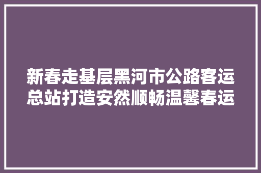 新春走基层黑河市公路客运总站打造安然顺畅温馨春运路