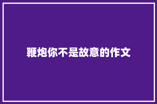 鞭炮你不是故意的作文