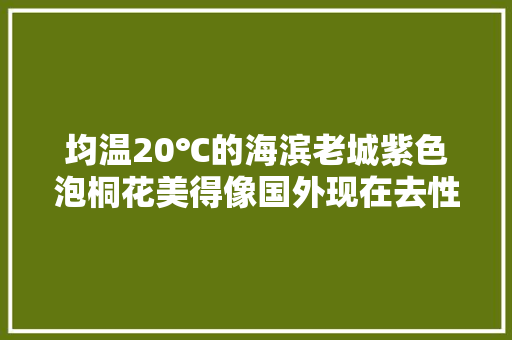 均温20℃的海滨老城紫色泡桐花美得像国外现在去性价比超高