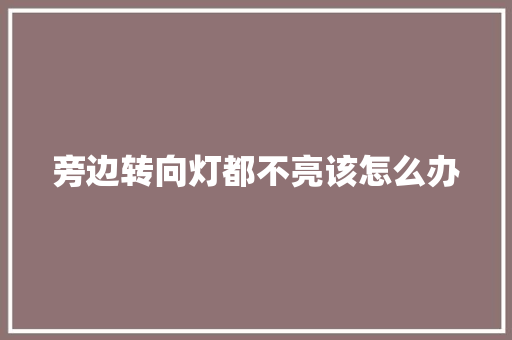 旁边转向灯都不亮该怎么办