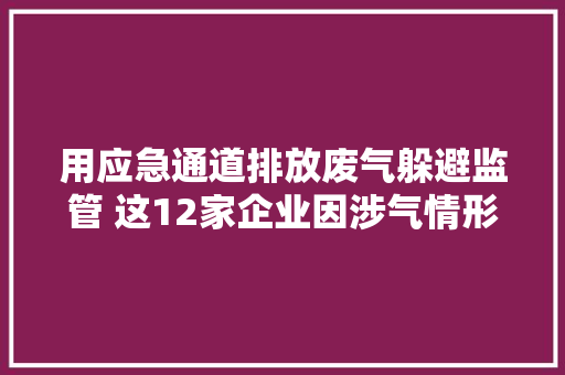用应急通道排放废气躲避监管 这12家企业因涉气情形问题被公开传递
