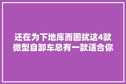 还在为下地库而困扰这4款微型自卸车总有一款适合你