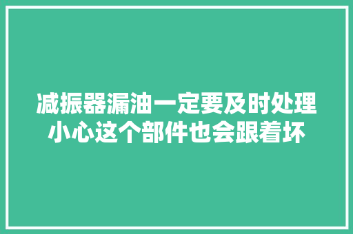 减振器漏油一定要及时处理小心这个部件也会跟着坏