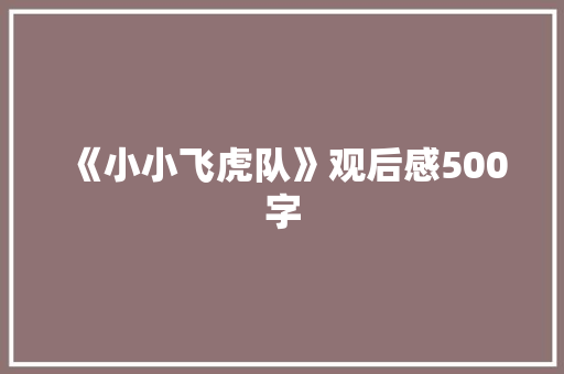《小小飞虎队》观后感500字