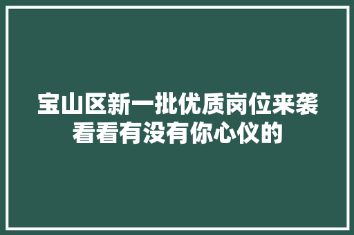 宝山区新一批优质岗位来袭看看有没有你心仪的