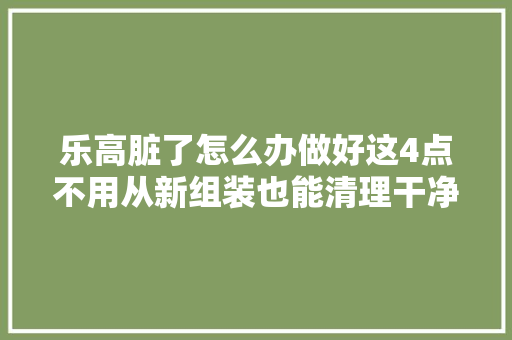 乐高脏了怎么办做好这4点不用从新组装也能清理干净