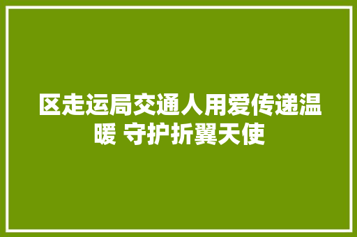 区走运局交通人用爱传递温暖 守护折翼天使