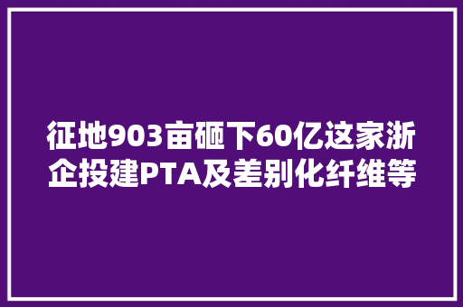 征地903亩砸下60亿这家浙企投建PTA及差别化纤维等项目
