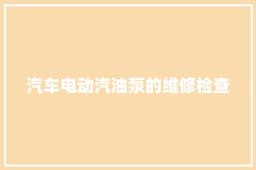 汽车电动汽油泵的维修检查