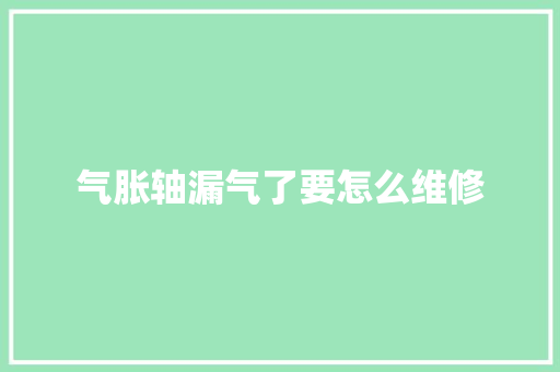 气胀轴漏气了要怎么维修