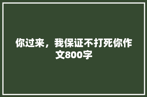 你过来，我保证不打死你作文800字