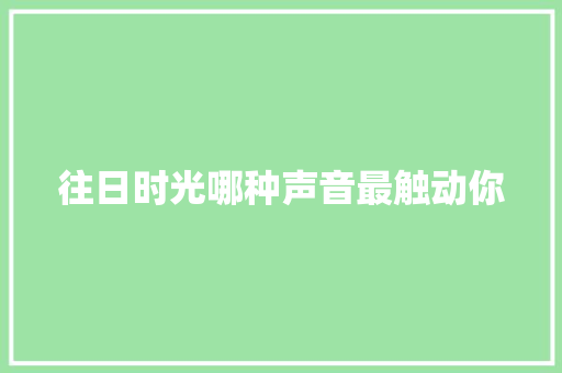 往日时光哪种声音最触动你 休闲娱乐