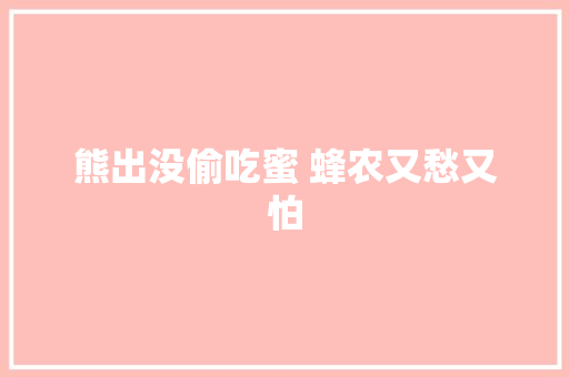 熊出没偷吃蜜 蜂农又愁又怕