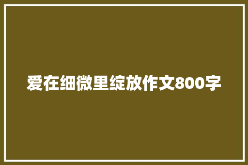 爱在细微里绽放作文800字