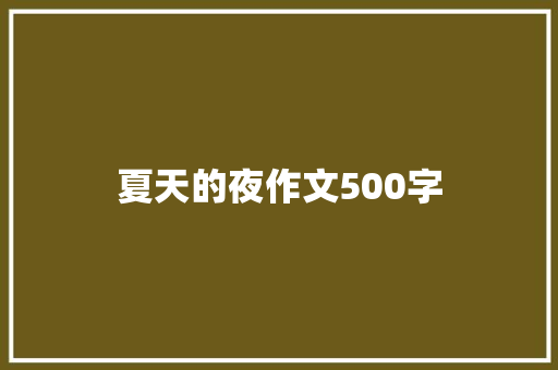 夏天的夜作文500字
