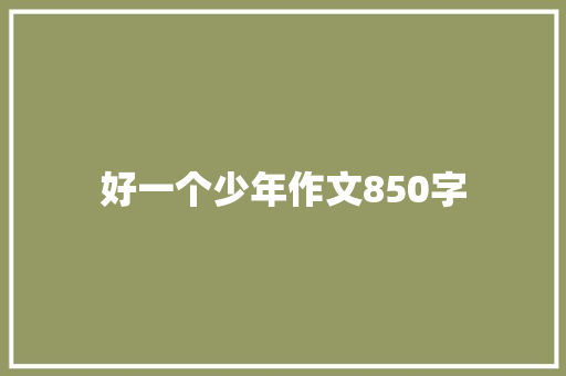 好一个少年作文850字