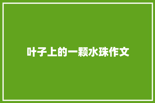 叶子上的一颗水珠作文