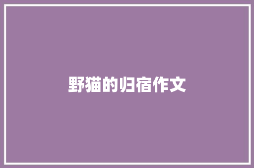 野猫的归宿作文 知识百科