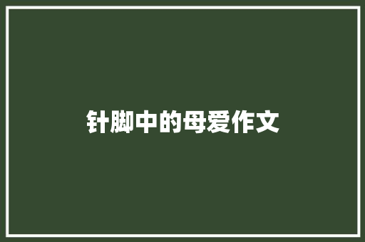 针脚中的母爱作文