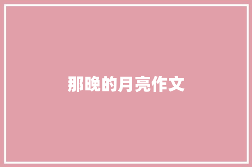 那晚的月亮作文