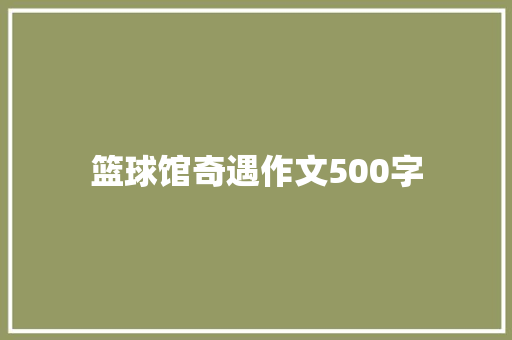 篮球馆奇遇作文500字