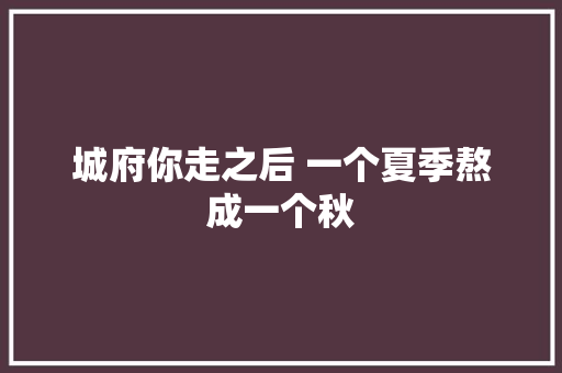 城府你走之后 一个夏季熬成一个秋