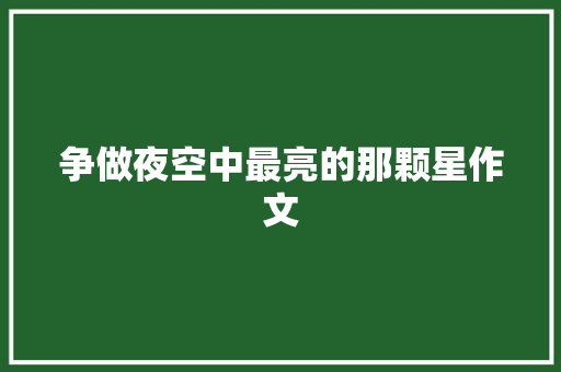 争做夜空中最亮的那颗星作文