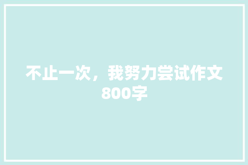 不止一次，我努力尝试作文800字